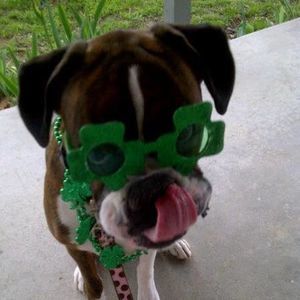 Meet your Posher, Aimee